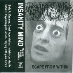 Insanity Mind : Scape from Within